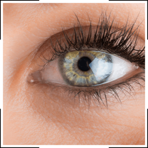 close up of a woman’s green eye with long lashes